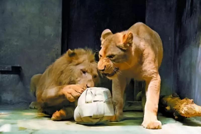 昆明最火网红打卡景点免费的,昆明最近的值得打卡的景点