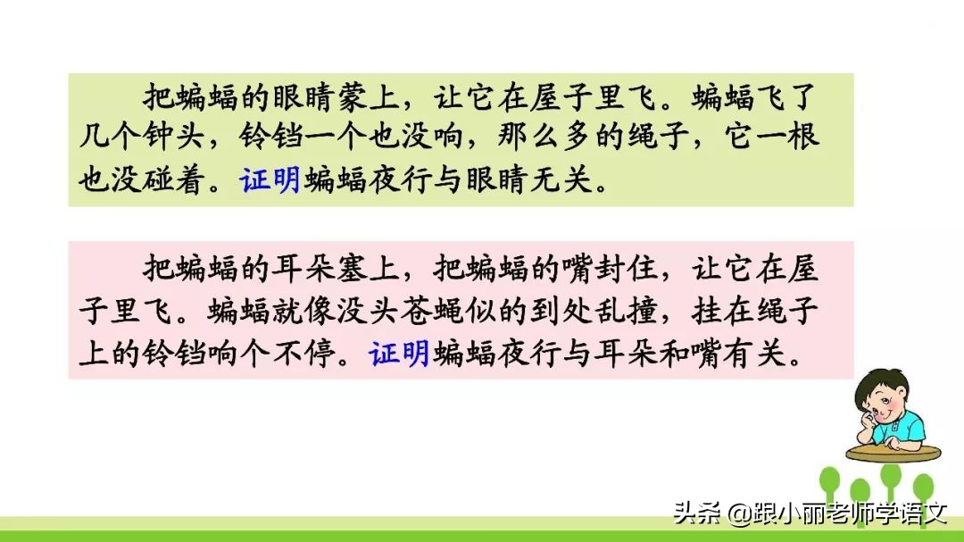 语文思维导图四年级上蝙蝠和雷达,人教版四年级上册蝙蝠和雷达朗读