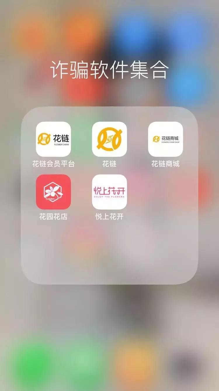 健康猫清退回款,健康猫现状如何