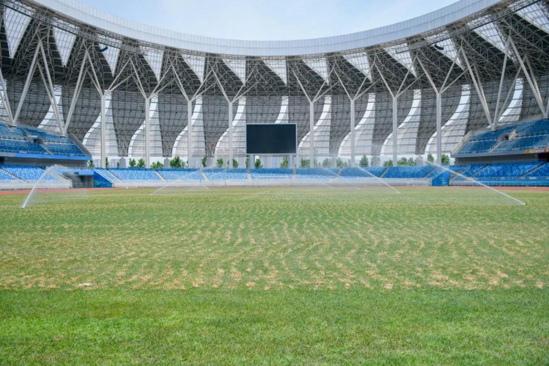 烈日灼灼，黄石奥体中心体育场更换夏季热型草