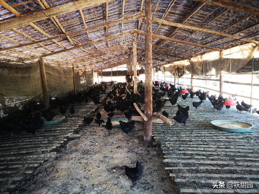 广东韶关市小山村,粤北的乡村