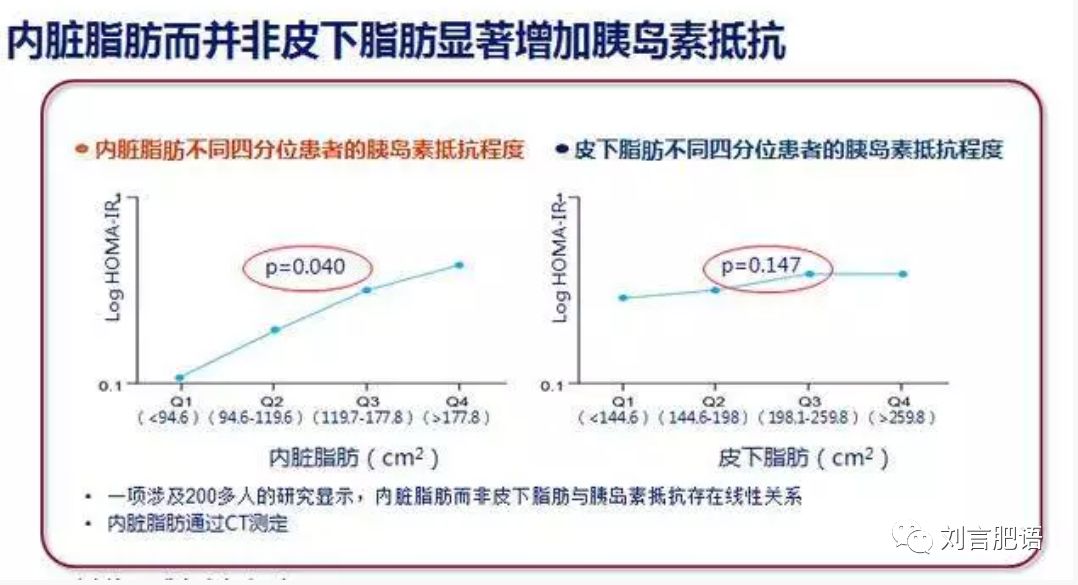 腰围决定寿命的视频,腰围粗影响寿命