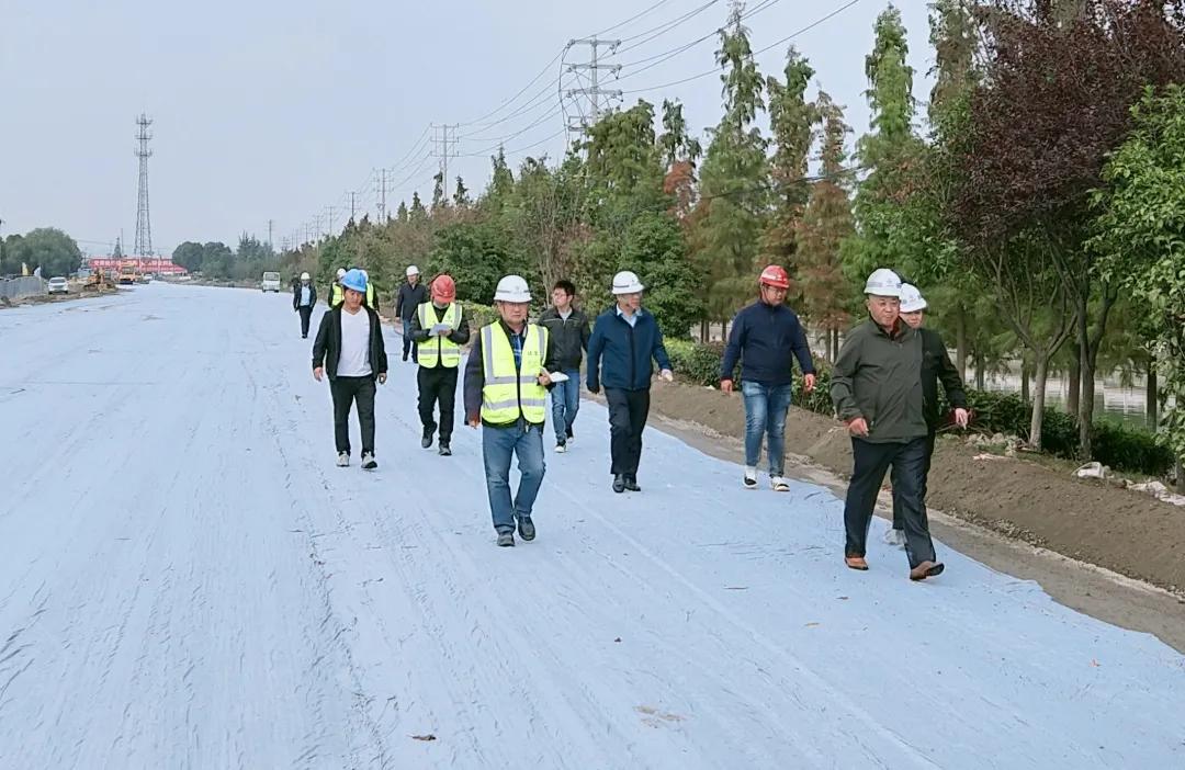 戴南镇2022年有哪些重大项目开工,戴南迎宾大道改造