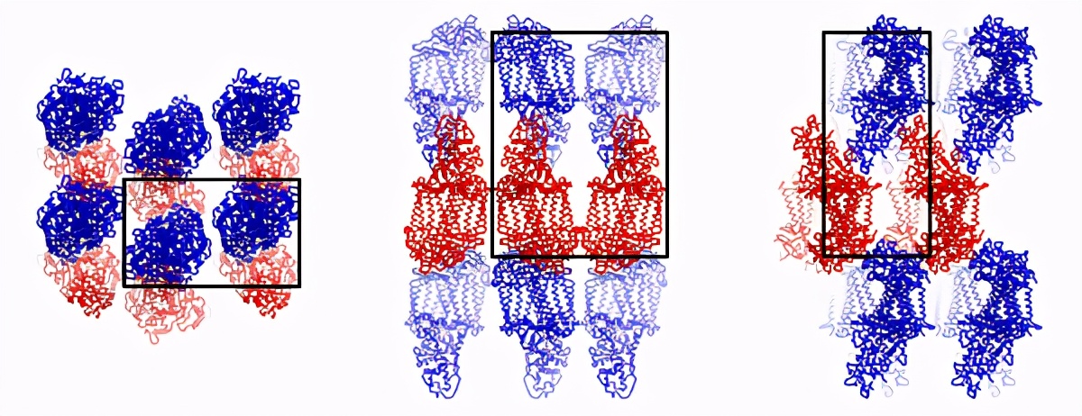 鎶楀嚮鐤儏绉戝鐭ヨ瘑,瓒ｅ懗绉戞櫘鍏辨姉鐤儏
