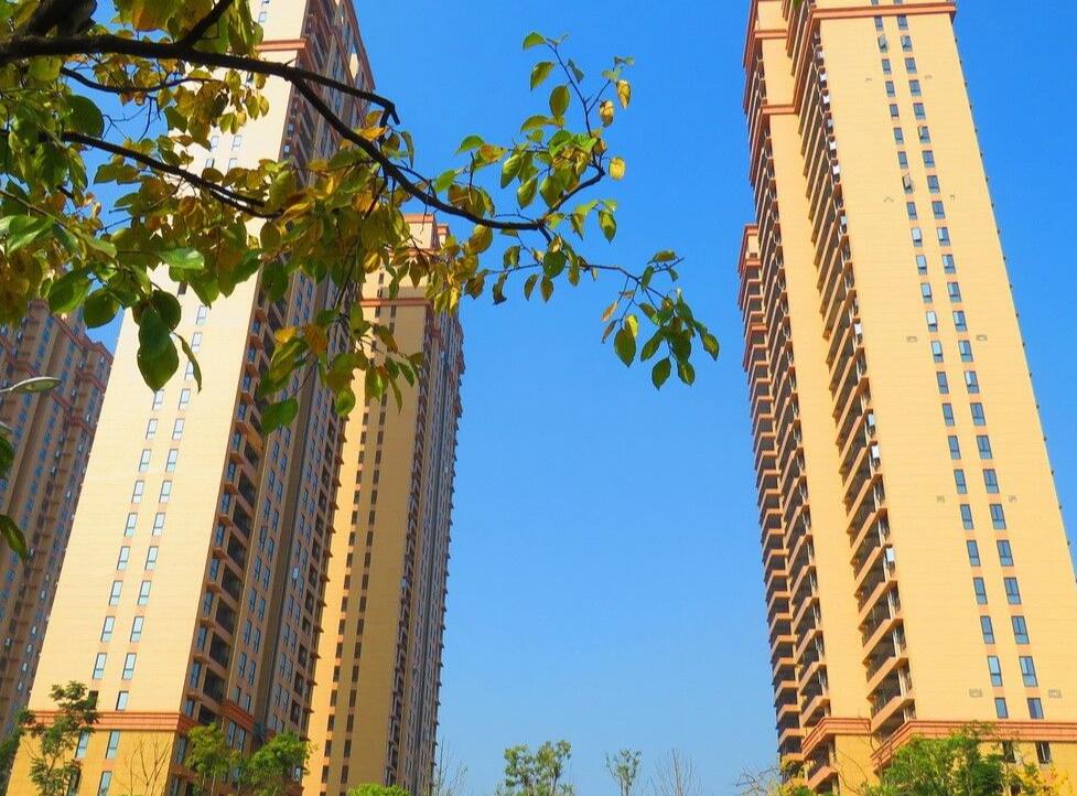 什么样的户型是好户型图解,什么样的户型是好户型视频