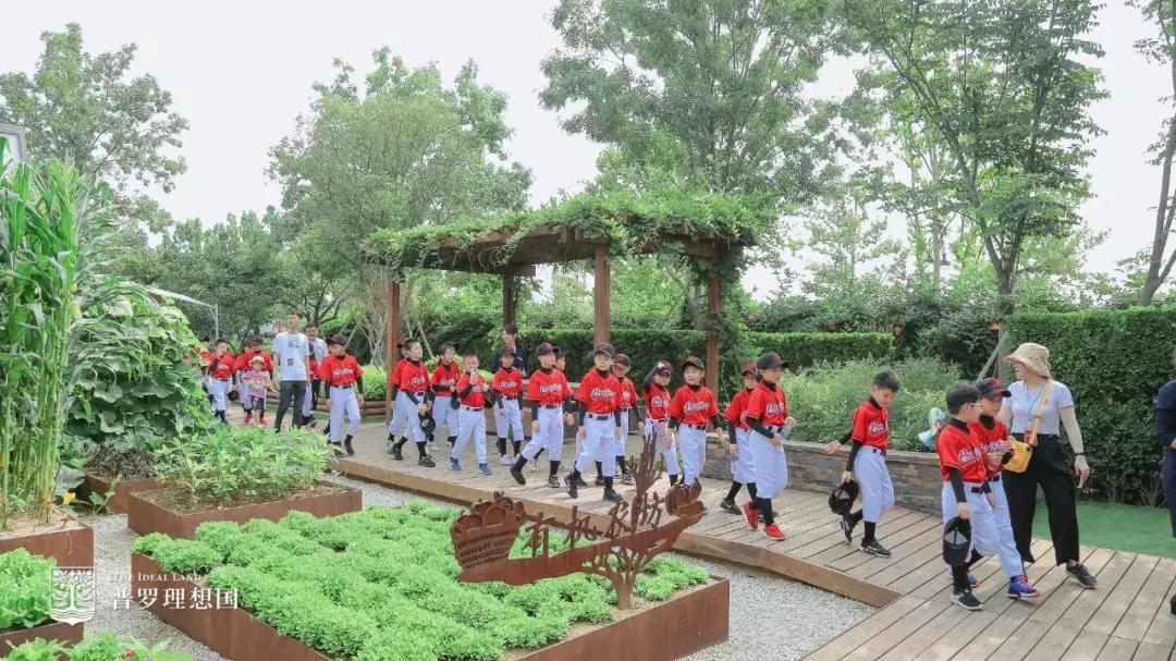 青少年棒垒球训练,第二届暑假集训营