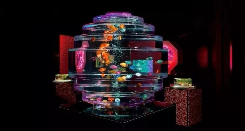 日本网红打卡艺术展,日本十大网红展