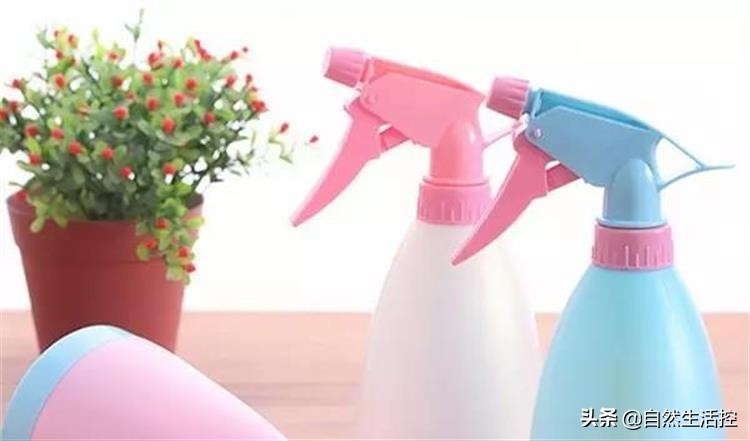 花卉枯萎了怎么办视频教程,花卉蔫了如何救活