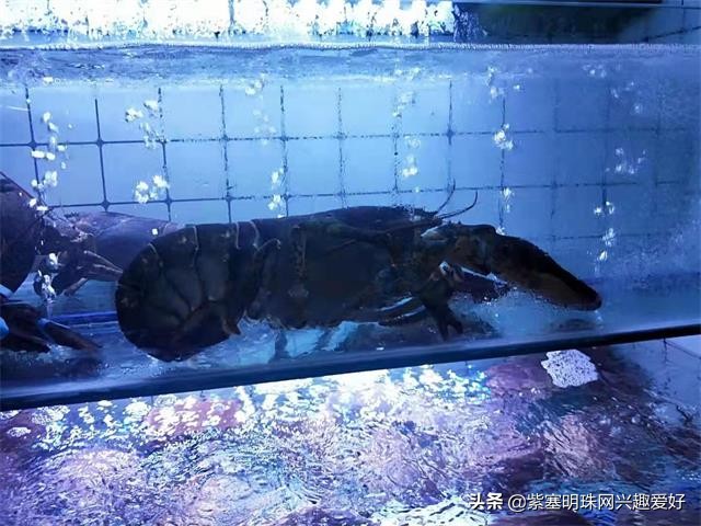 日照吴家台值得推荐的渔家乐,换一个角度感受生活中别样的美