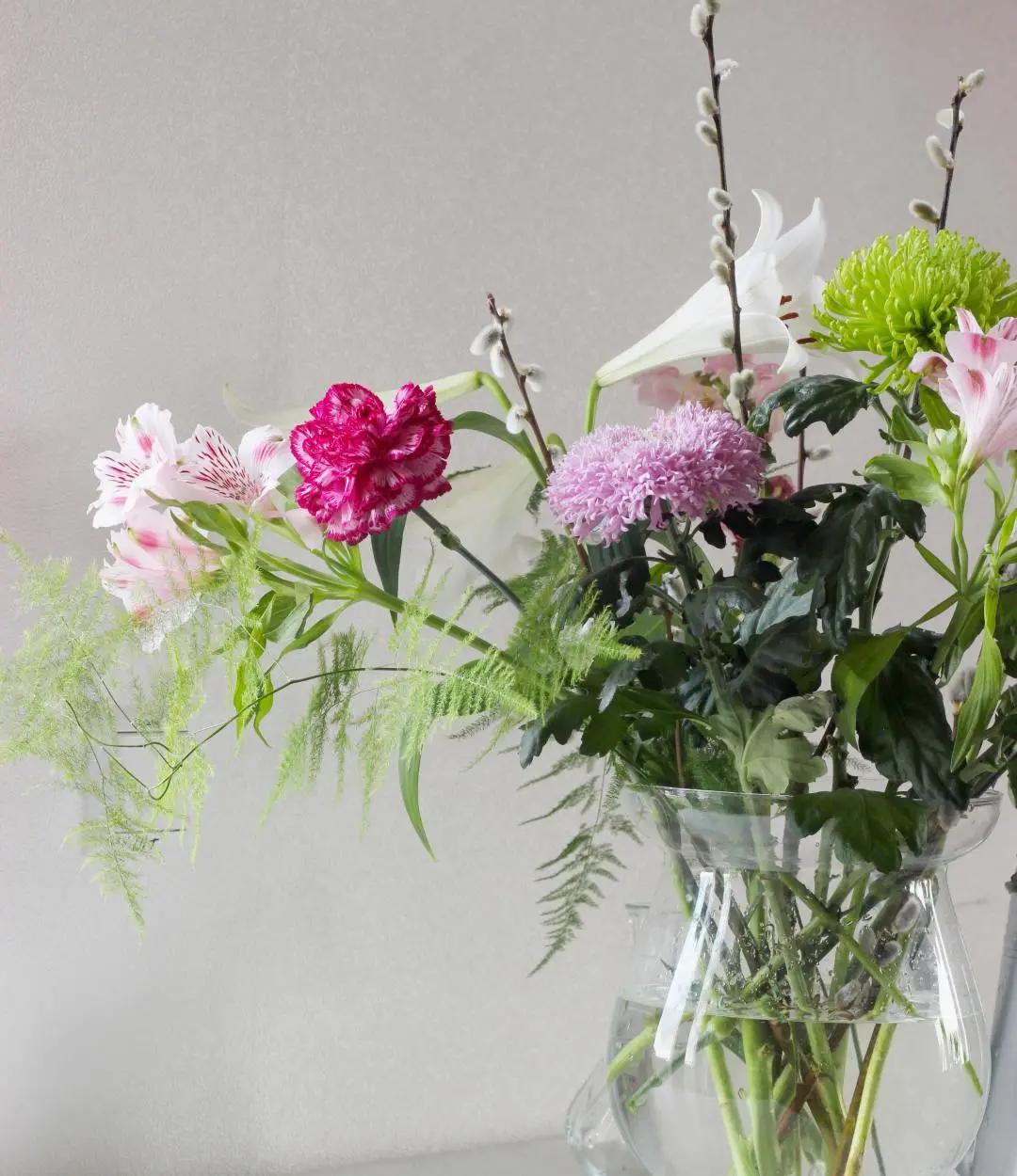 50种花材大全,常用鲜切花品种及图片