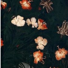 西方的纪念章,西方顶级纪念章