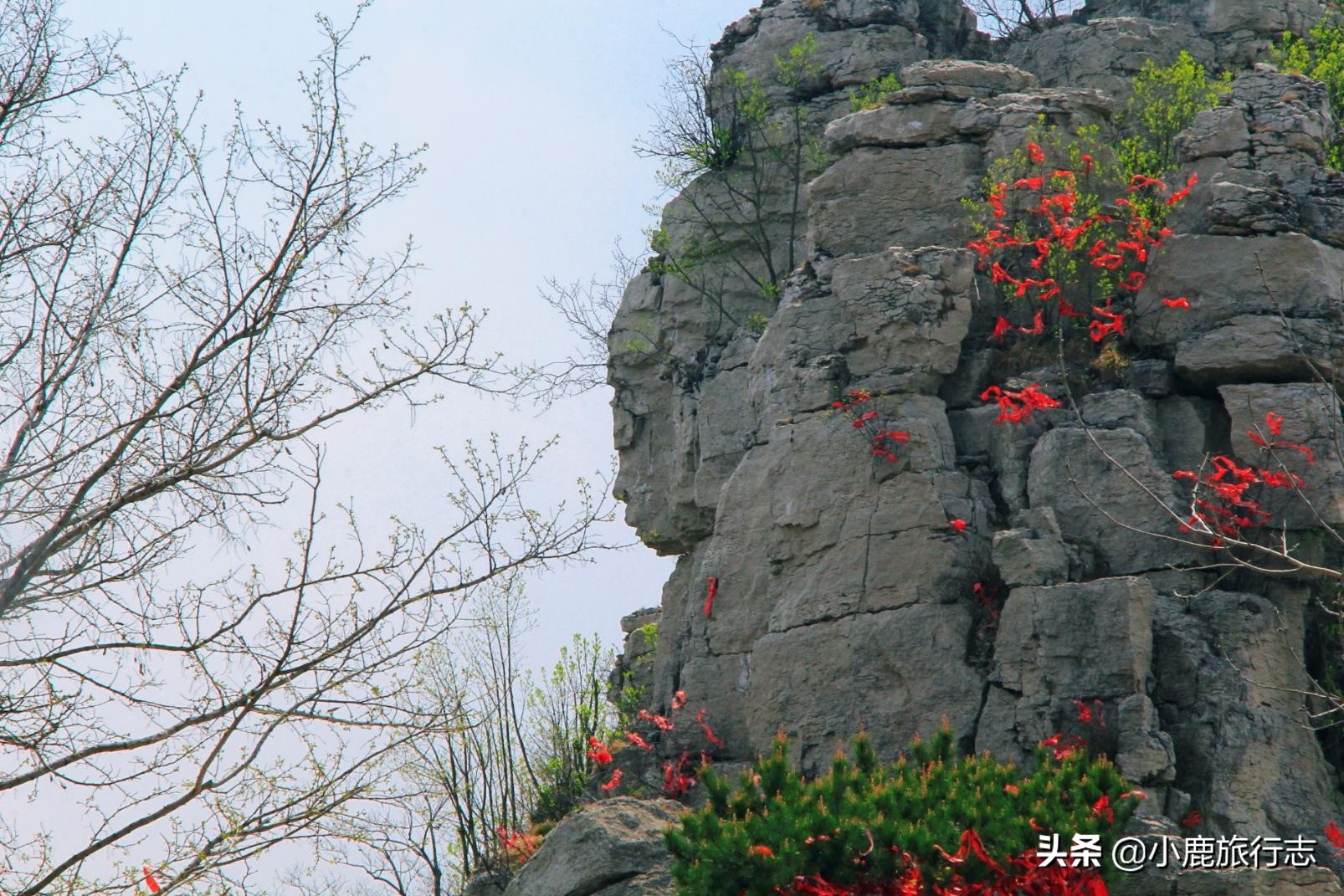 岱崮真是个美丽而神奇的地方,岱崮地貌典型代表景区