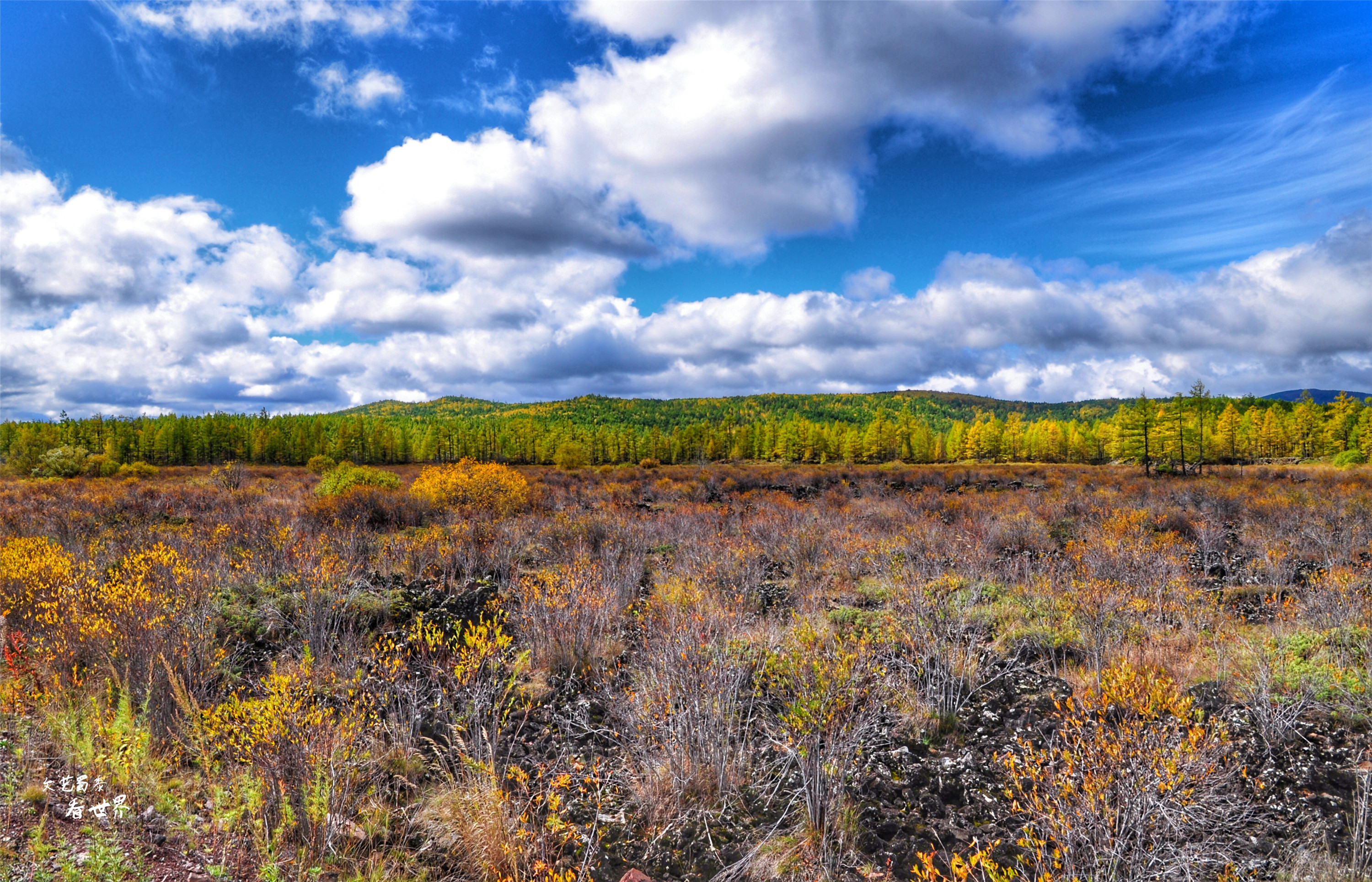 阿尔山的冬天就是童话世界,如果你第一次来到草原会感叹什么