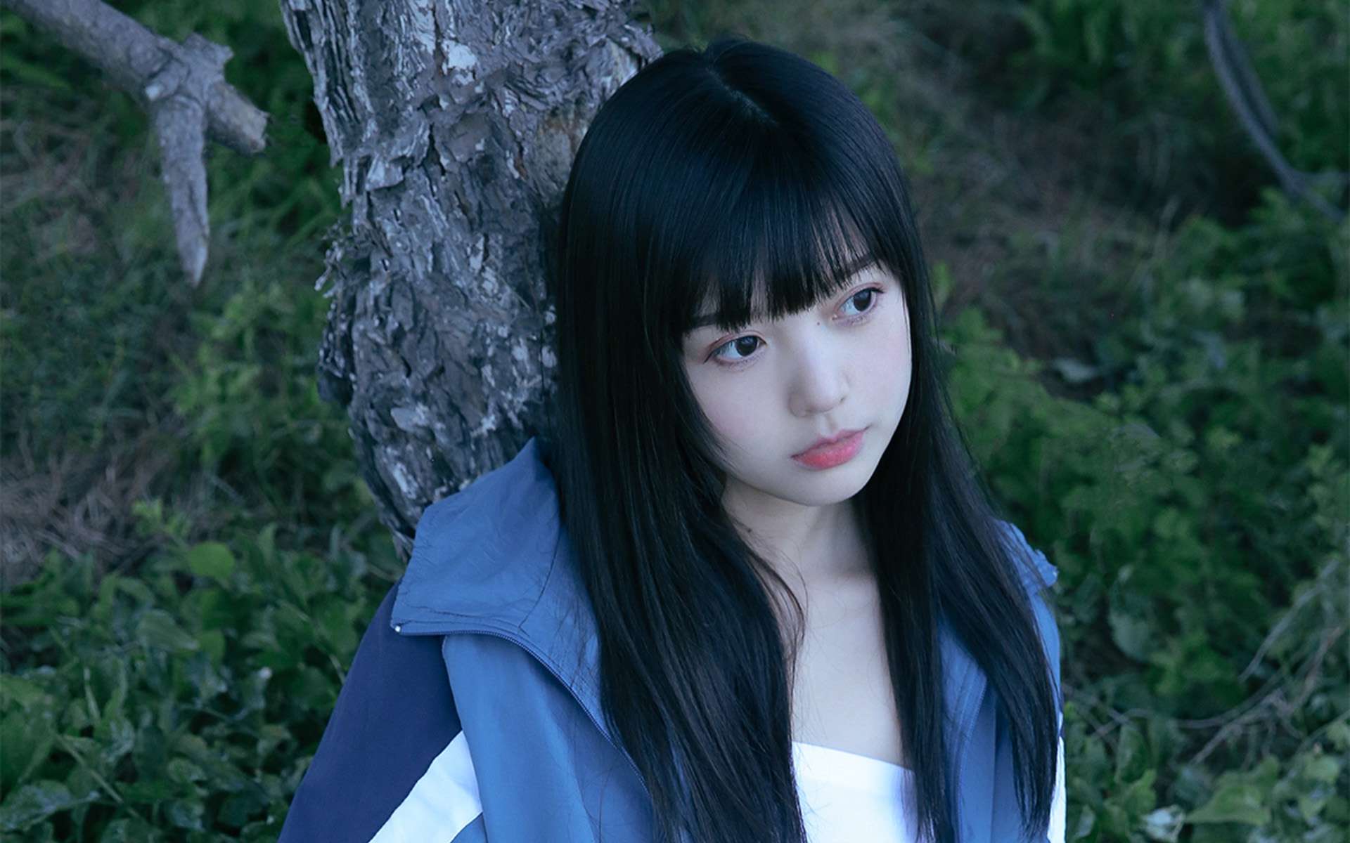 业务中台vs数据中台,业务中台和财务中台