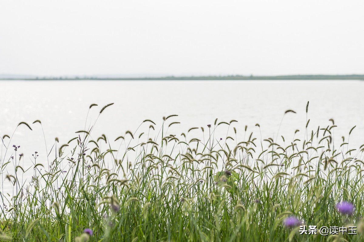 牛群这几年经历了什么,牛群从政怎么样