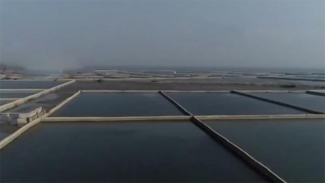 27岁姑娘创业失败,27岁姑娘白手起家400栋楼