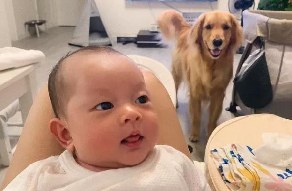 怀孕了，就把狗扔了吧，多脏啊