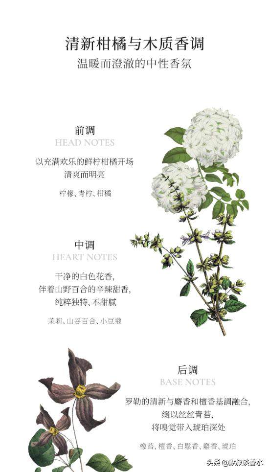 潘海利根哪两款香水是皇家认证的,潘海利根皇家橡树高以翔同款