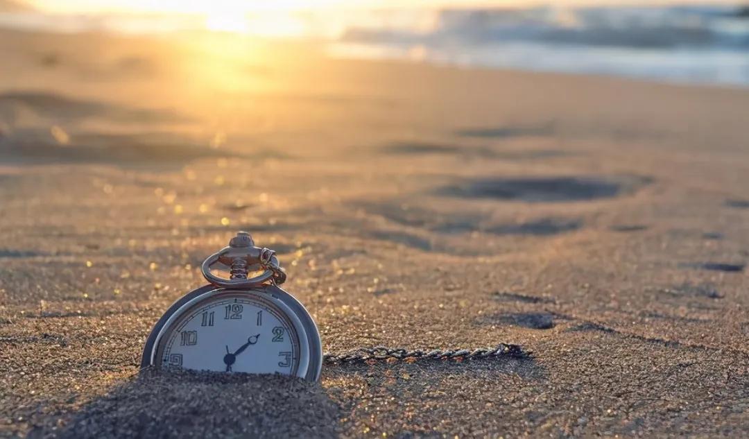 逃离朝九晚五，自由职业者靠什么养活自己？