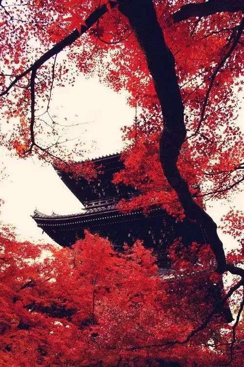 历史名人典故成语,50个成语50个历史名人典故