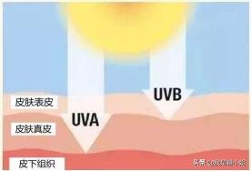 比养儿更防老的是防晒,养儿不防老不防晒