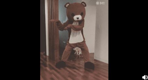 李现和杨紫的cp超话,比杨紫小的明星cp