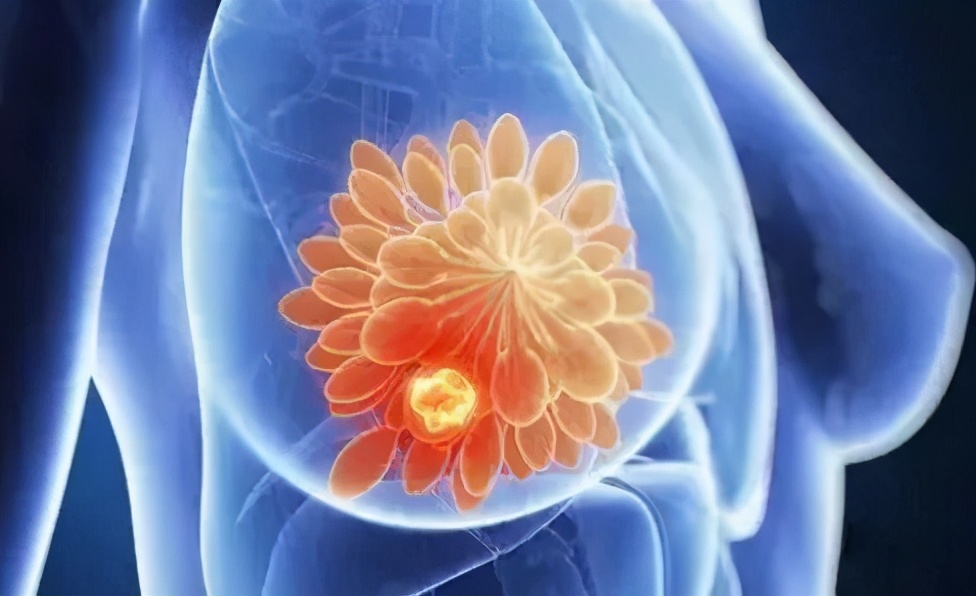 乳房自检靠谱吗,乳房自检碰到肋骨正常吗