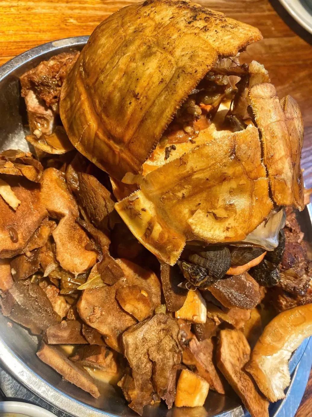 乐从附近哪家的烧鹅好吃,佛山顺德乐从烧鹅哪家店好