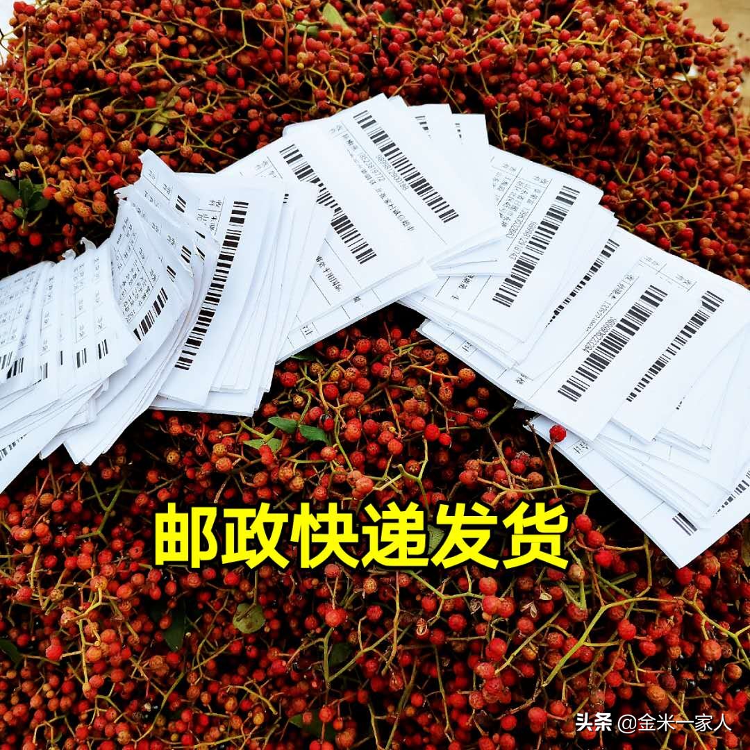 花椒好吃但是摘花椒也辛苦,教给大家采摘花椒的小技巧