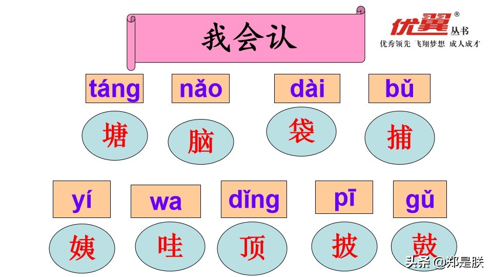 二年级小蝌蚪找妈妈诵读,二年级语文第1课小蝌蚪找妈妈