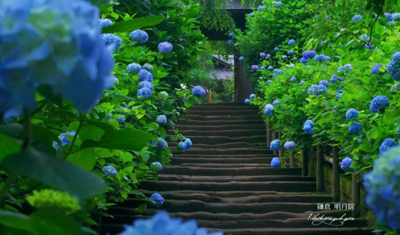 眼球被挖了一个洞还能恢复吗,眼球被挖男孩案