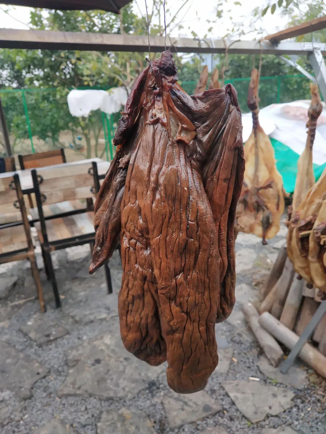 央视在广西全州庙头镇大碧头拍摄十大碗之一胆肝