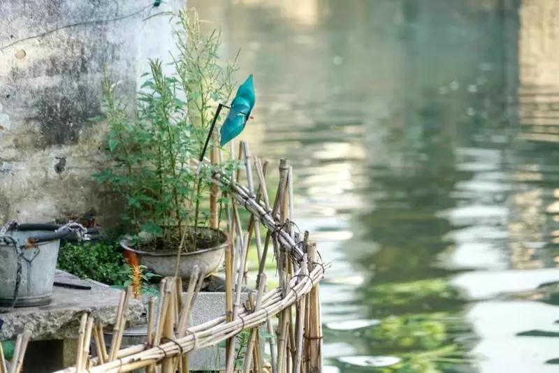 都挺好苏州评弹完整版,苏州都挺好取景地西山岛