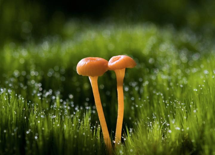 因为种种原因感情破裂了如何修复,两个人感情出现问题怎么弥补