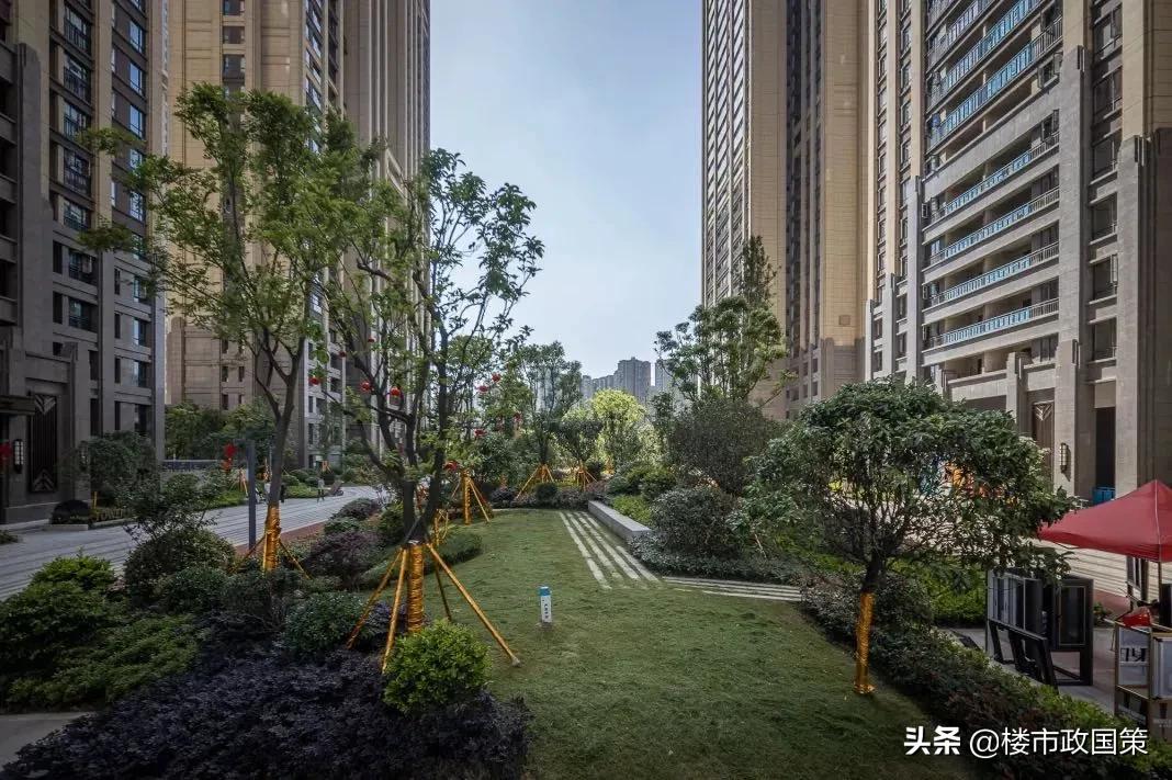 大武汉一起看！三镇“合体”前夜，解放大道再一次为汉口“爆灯”