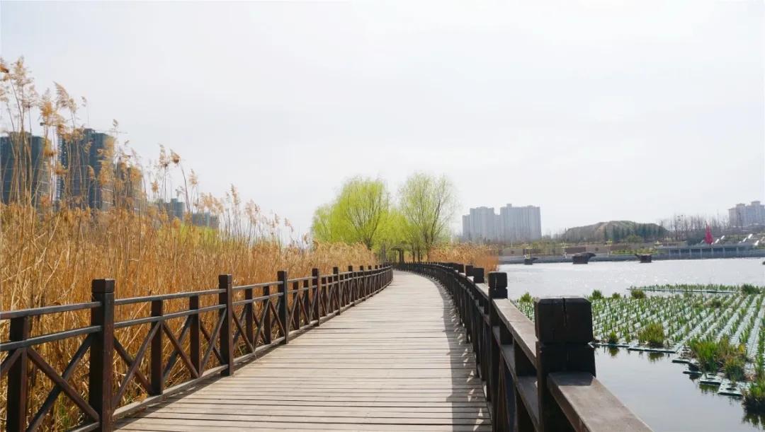 郑州免费游玩公园推荐,郑州新公园开放了吗