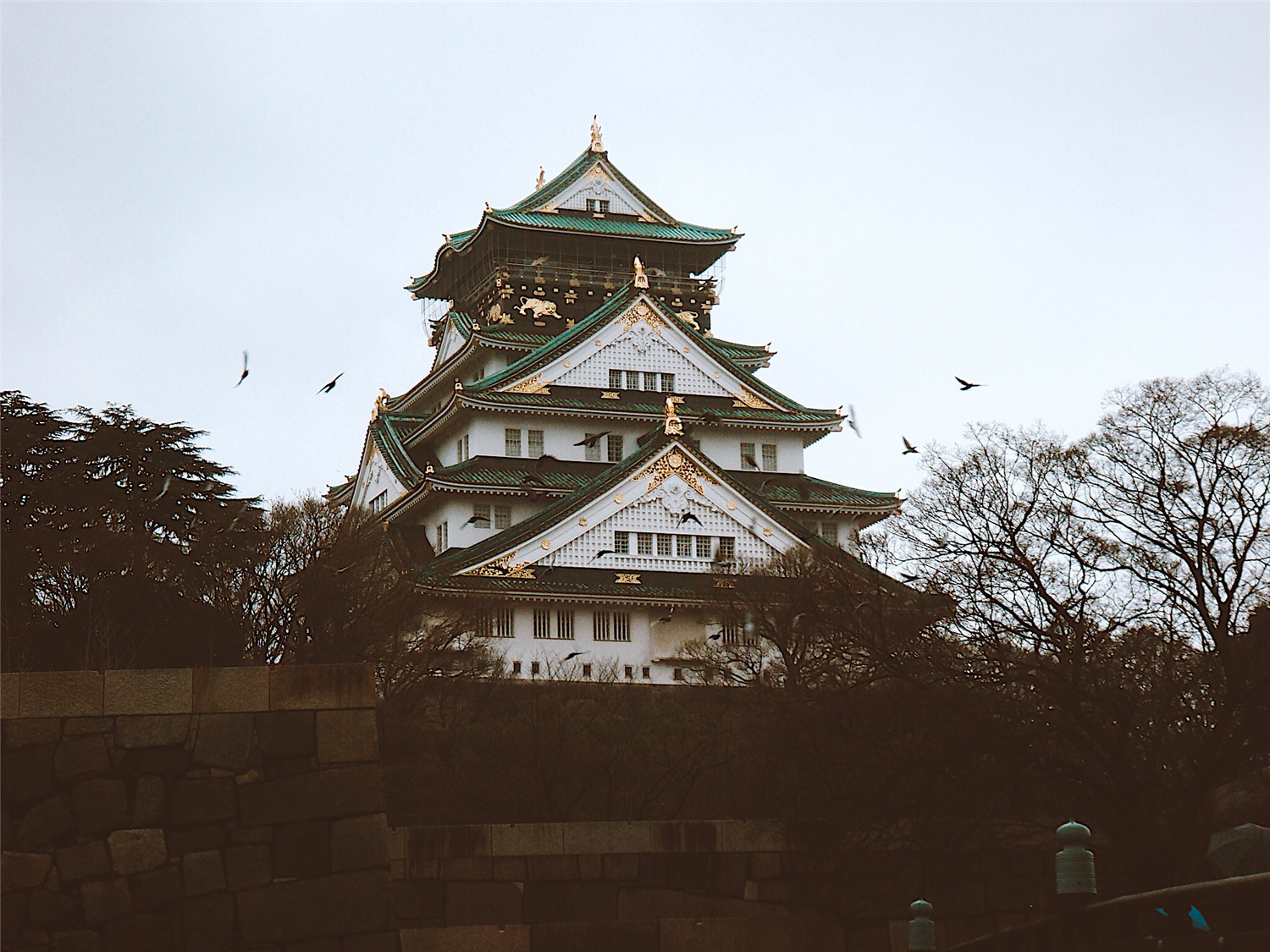 G20后大阪更好玩了！怎么订机票更省钱