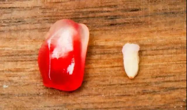 超甜不用吐籽的石榴你吃了吗,不用吐籽的石榴不白吃