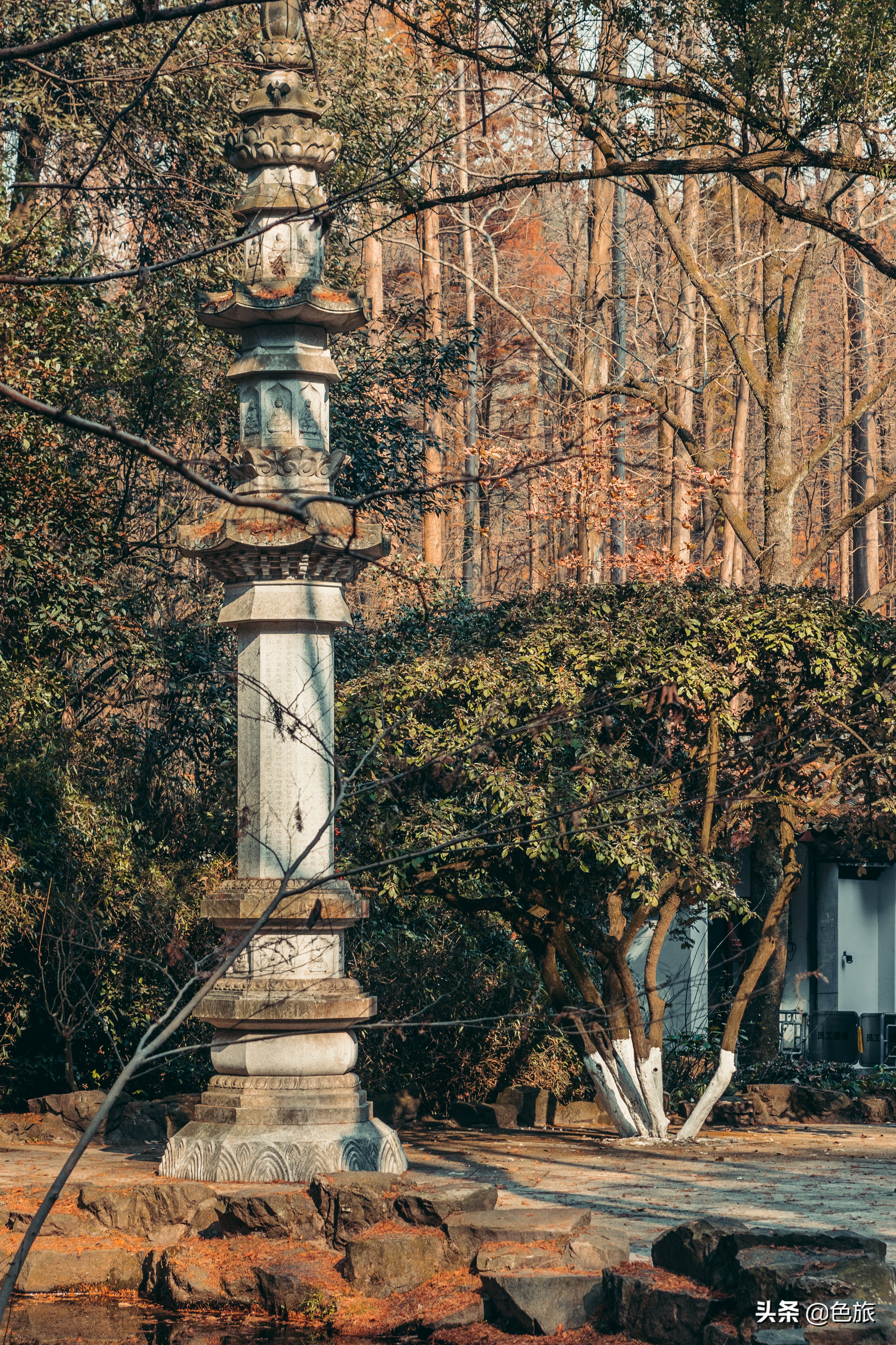 逆水寒游历虎跑梦泉怎么出葫芦,杭州游玩虎跑泉