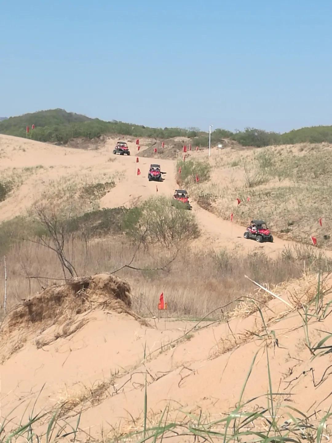醉花海古镇美景,醉舞花海