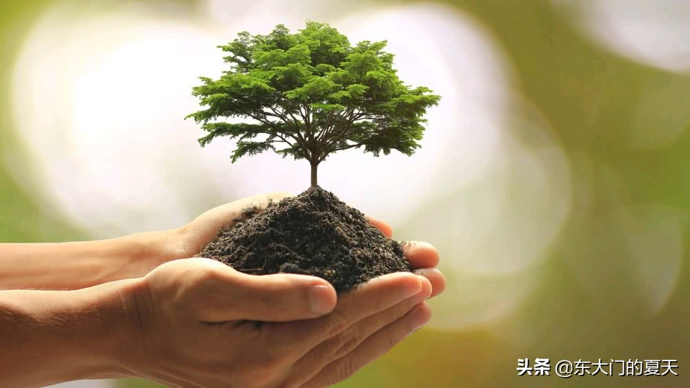 中医因人制宜的原则,中医顺势疗法是什么