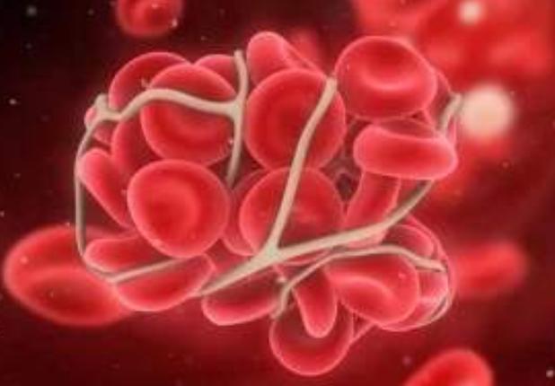 a血型和b血型的孩子哪个更聪明,同样血型生出来的孩子会更聪明吗