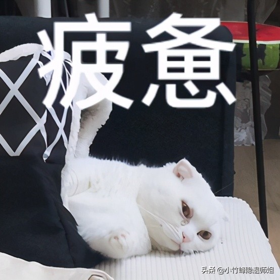 诛仙3新职业猜想,诛仙3新职业介绍