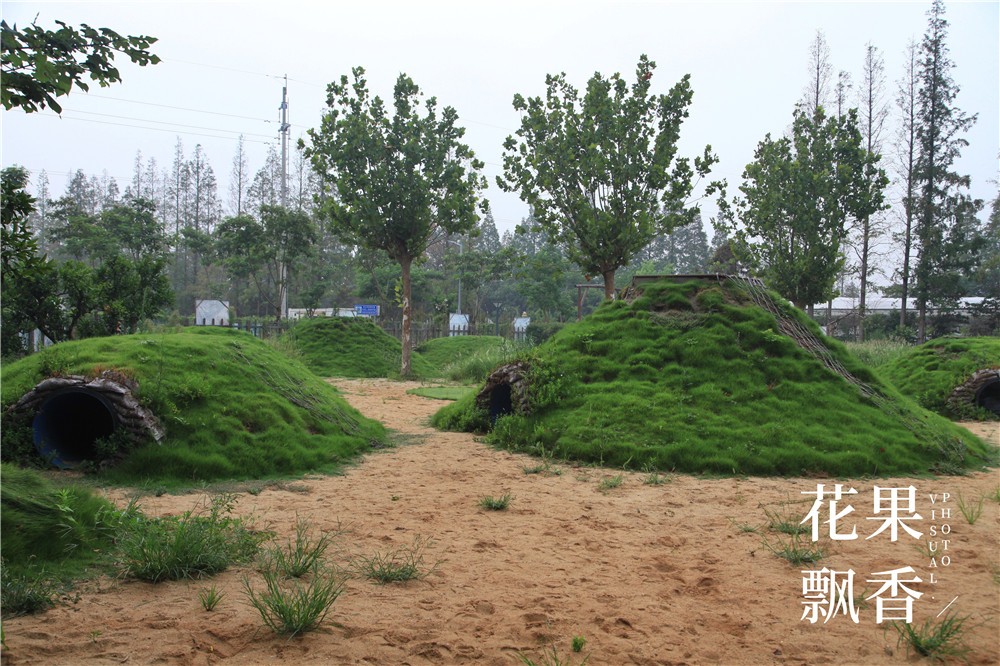 卖文化,卖创意,这家以柑橘为主题的农场好不正经