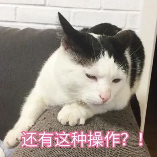 猫屎猫尿这么臭怎么办,猫在猫砂盆里大便臭吗
