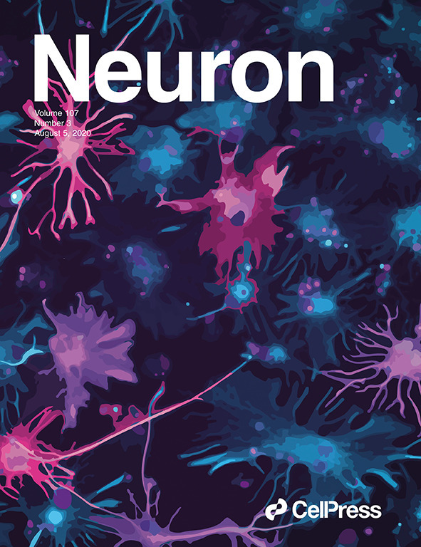 重磅研究成果!科学家在小鼠模型中发现改善自闭症核心症状新方法