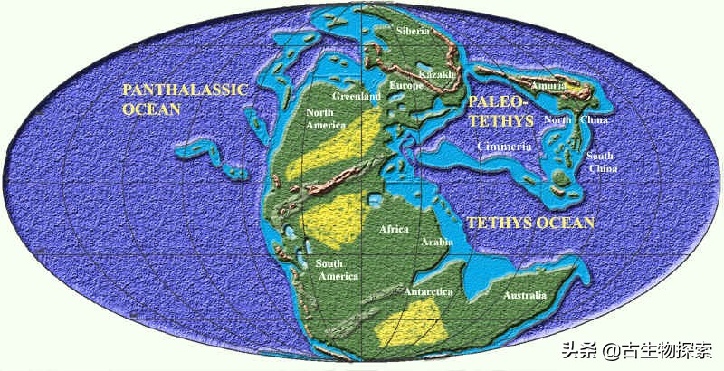 中国发现生活在2.48亿年前的“鸭嘴兽”