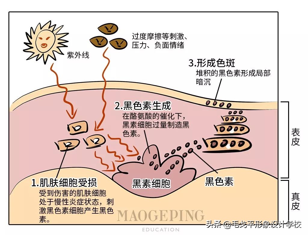 美白方法不用珍珠粉 (珍珠粉美白教程)