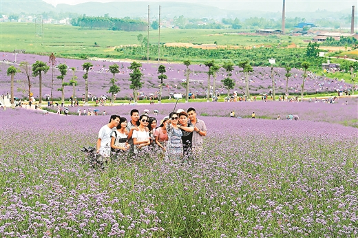 广西旅游攻略忻城,忻城土司文化旅游