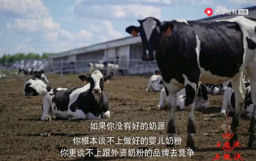 重新认识价值,重新认识东北完整版